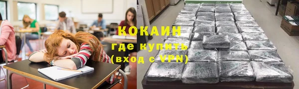 крисы Белоозёрский