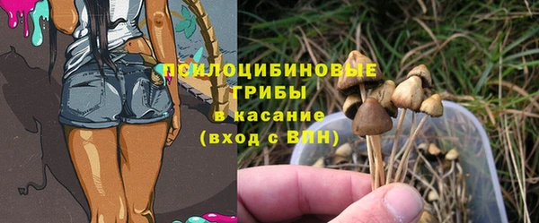 амфетамин Белокуриха